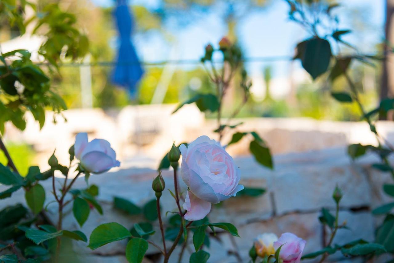 Bed and Breakfast Borgo Dei Lecci Puglia à Selva Di Fasano Extérieur photo